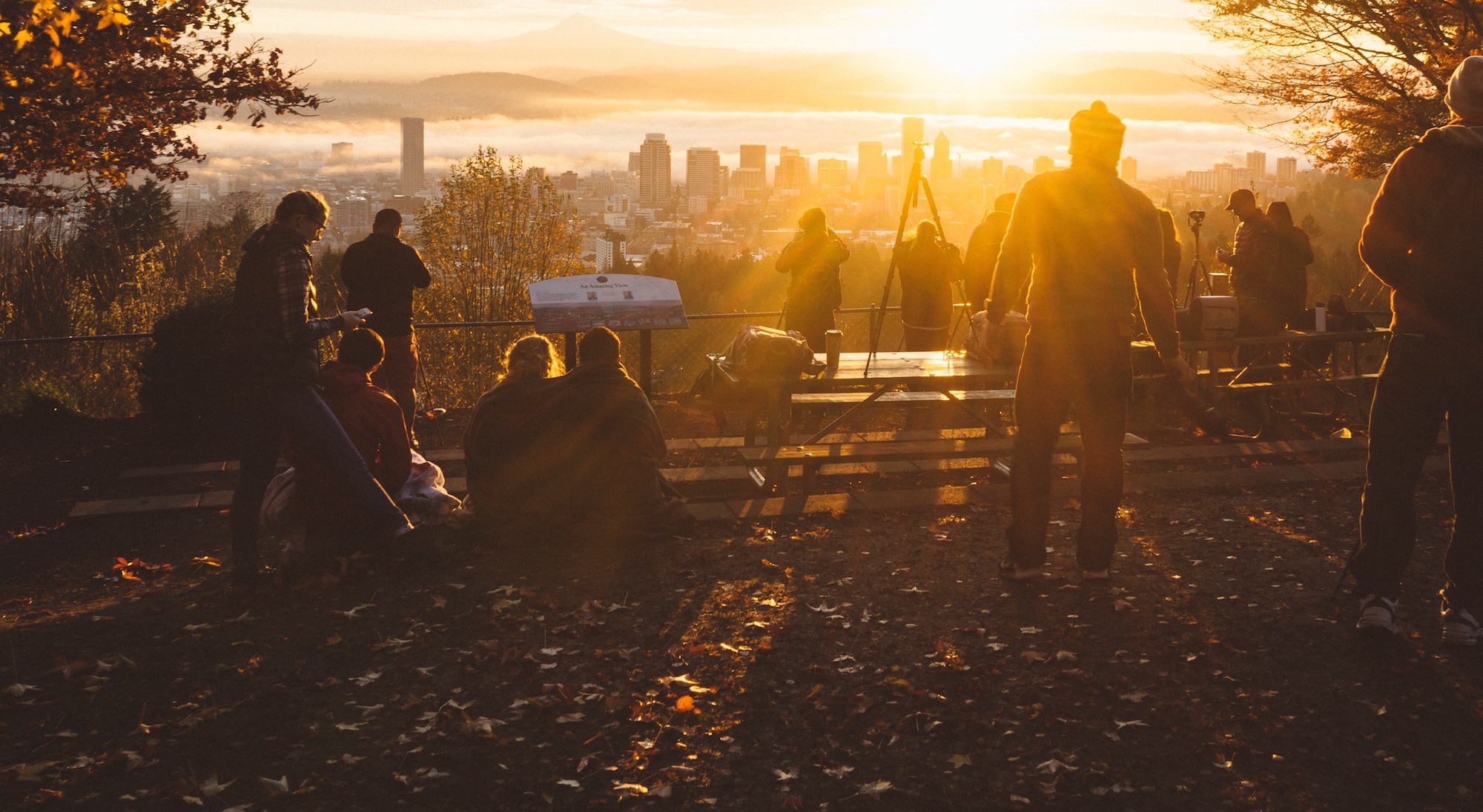 City at Sunset